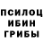 Галлюциногенные грибы мухоморы Engineering Juice