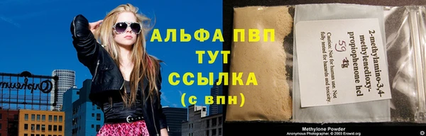 молекула духа Гусев