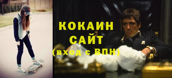 молекула духа Гусев