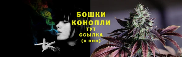 молекула духа Гусев