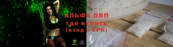 молекула духа Гусев