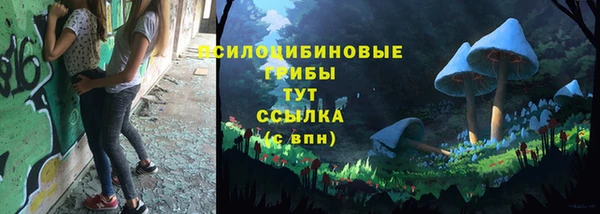 гидропоника Дмитровск