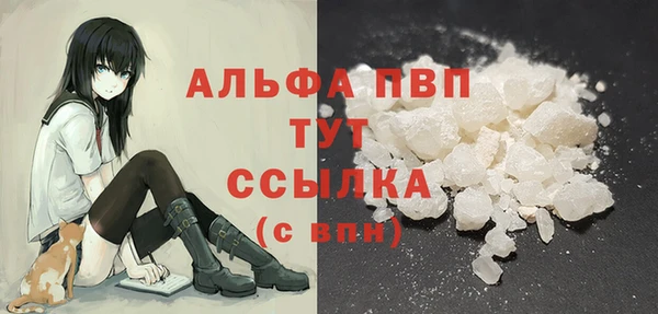 молекула духа Гусев