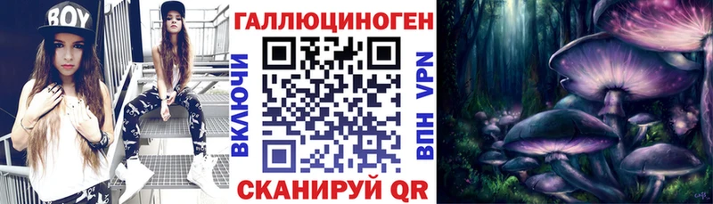 Купить  Хвалынск  Галлюциногенные грибы MAGIC MUSHROOMS 